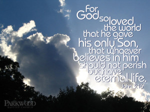 The World That He Gave His Only Son, That Whoever Believes In Him ...