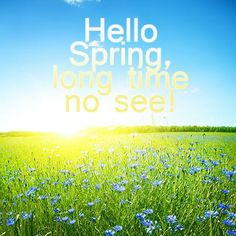 Hello Spring, long time no see! #floral #flowers #spring #Quote
