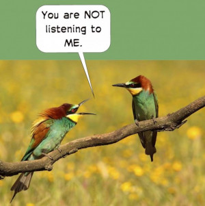 animal-comics-u-are-not-listening-to-me