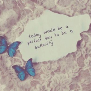 Butterfly Fly Away Quotes