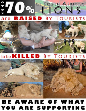 USA Trophy Hunters In Africa