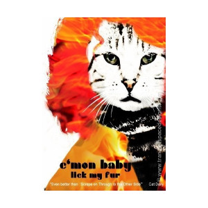 Funny Cat Greeting Cards - 'C'mon Baby Lick My Fur' - Doors