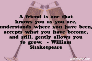 friend is one that knows you as you are, understands where you have ...