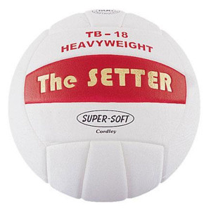 volleyball quotes for setters