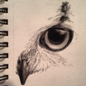 Sketch by Kayleigh foley - owl eye - November 2013Eye Sketches, Owls ...