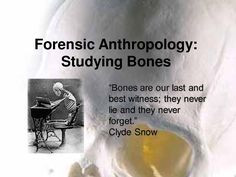 Forensic Anthropology Bones