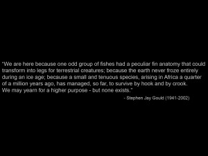 Stephen Jay Gould on Higher Purposes