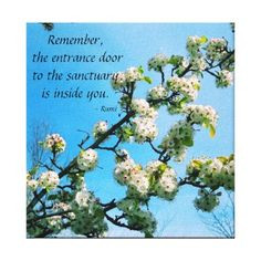 Wise Quotes Spring Floral Canvas Print