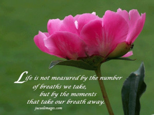 Natural quote,quote on nature,quotes from nature