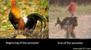 Beginning of the semester & End of the semester