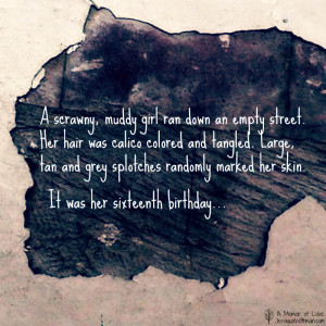 In case you don't remember, the main character in A Memoir of Love is ...