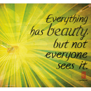 Everything has beauty but not everyone sees It ~ Environment Quote