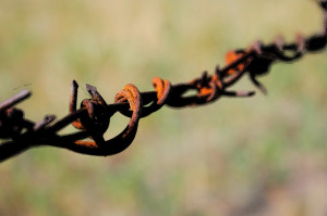 Fear is the highest fence.