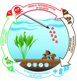 Chemical Cycle