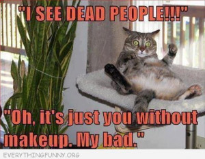 Funny Cat Pictures With Captions Guns Quotes Without