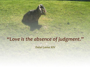 Love is the absence of judgment.” Author: Dalai Lama XIV