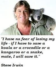 ... quotes steve irwin quotes heroes hunters steve quotes inspiration