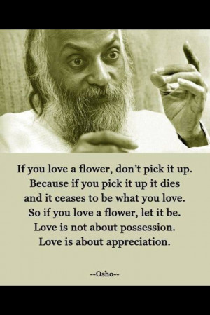 Pinned by Aubrey Brand