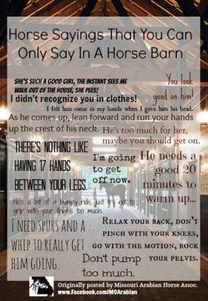 Horse Sayings That You Can Only Say In A Horse Barn Please respect the ...