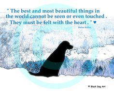 Labrador Retriever Dog Digital Art Print With Quote