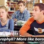 Top 10 gifs about Billy Madison quotes