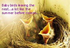 Birds Leaving the Nest Quotes