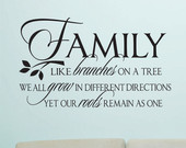 family like branches tree our family quote
