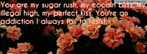 You are my sugar rush, my cocain bliss, my illegal high, my perfect ...