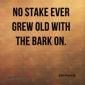 No stake ever grew old with the bark on.