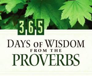 365 days of wisdom from the proverbs 365 days perpetual calendars