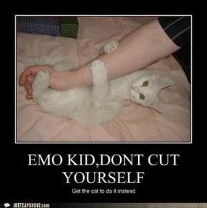 Have you ever cut yourself?