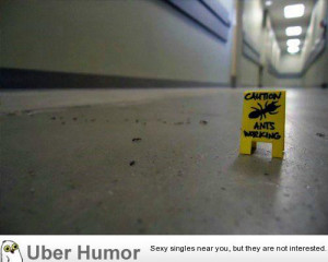 Daily Afternoon Chaos (40 Pictures)