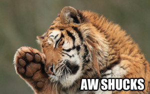 AW SHUCKS - AW SHUCKS shucks tiger