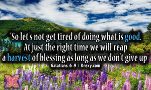 Bible Quotes – Don’t Ever Give Up