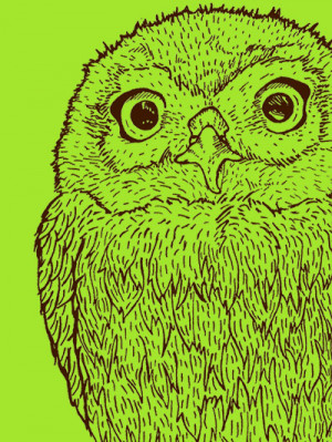 All Graphics » owls