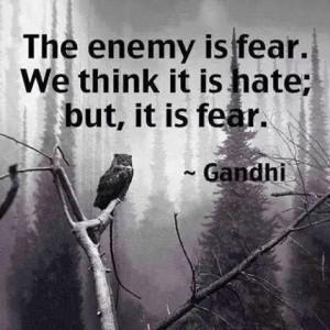 Mahatma Gandhi Quote The Enemy is Fear not Hate