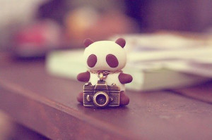 camera, cute, mini, pand, panda