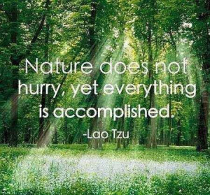 Nature doesn't hurry.