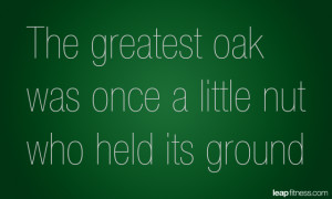The Greatest Oak Was Once A Little Nut Who Held Its Ground