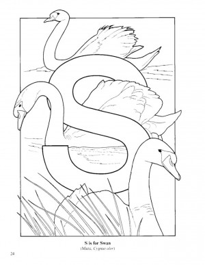 File Name : Bird-alphabet-coloring-pages-printable-download-for-kids ...