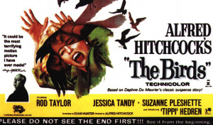 ... the iconic film by Alfred Hitchcock ‘The Birds’, 50 years later