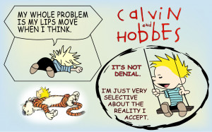 Calvin And Hobbes Quotes