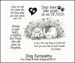 ... sympathy/][img]http://www.tumblr18.com/t18/2013/12/Dog-sympathy.jpg