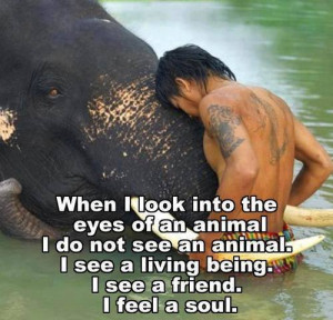 no rock-solid evidence to prove that animals do or do not have a soul ...