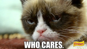 Is this the new Grumpy Cat? Meet Garfi, the fluffy feline whose ...