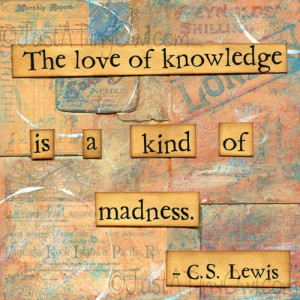 ... is a kind of madness. - C.S. Lewis #etsy #mixedmedia #JustaTinyOwl