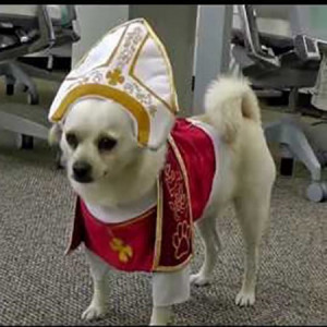 Animal Pla Holy Hound Dog...