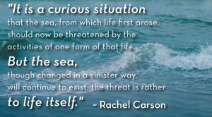 The boating community exists in the boundary where land meets water ...