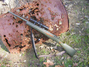 cardboard target backers