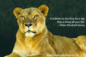 Lion Behind Lioness Lioness Love Quotes Lion